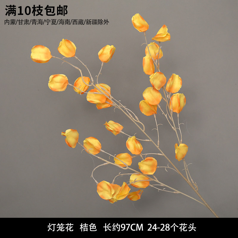 灯笼花