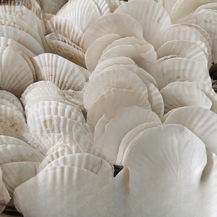 ���������ط۽z��ɫ����ؐ������ؐ�����İ뚤���бPؐ�����u