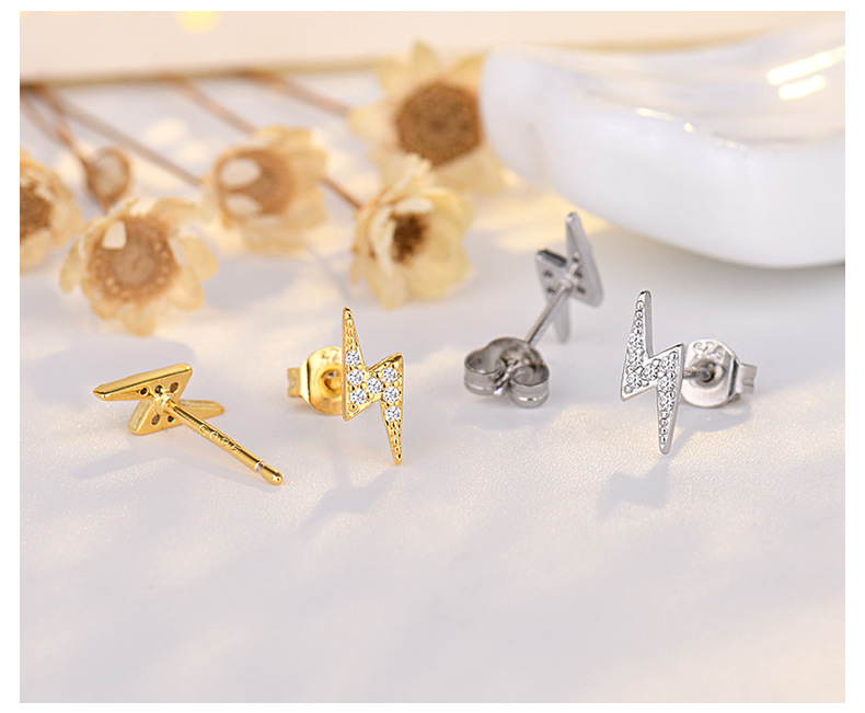 Qiaolan Xuan Japanese Korean Edition New Anti Allergy S Needle Lightning for Women's Feeling Small and Popular Silver_voghion.com