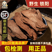 iꖲ500˟o؛iƬ޽ɐزˮݾ