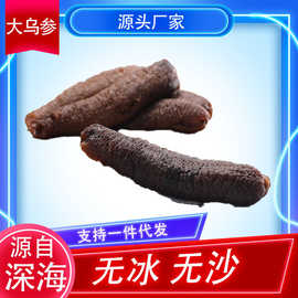 海茄参大乌参酒店婚庆餐饮酒席用品水发商用厚肉散装新鲜冷冻海参