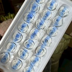 永生花梦幻渐变小玫瑰B+品质2-3cm21朵/盒花束送人礼盒DIy花材
