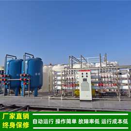 反渗透_绿健供应二级反渗透纯水设备_广西南宁反渗透去离子水设备