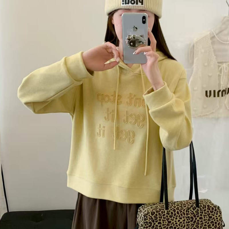 美式复古刺绣连帽套头卫衣女新款秋季高级感宽松休闲小个子上衣|undefined