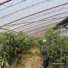 ��S���]����ɽ�|մ�����������ش����rˮ�������ЋD���Ǘ������l