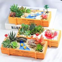 多肉植物组合盆栽套餐多肉DIY微景观材料包含盆含土室内绿植包邮