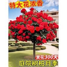 �䘶�¼��ش󻨶༾�_�����õ��������¼����Ϙ����玧��������