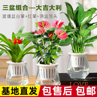 ˮ�ಣ�����Լt�����\���^����С�����҃ȿ͏d���B��ˮ�B�d��