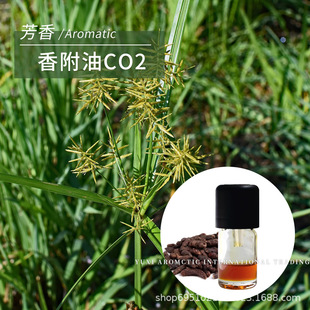 �㸽����ɯ�ݸ��oCO2���R����ȡ����������1ml�η��㸽����
