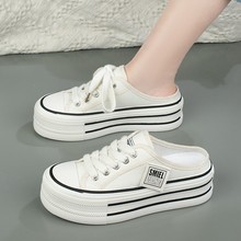 ^ЬŮ⴩2025¿ļ͸oeЬ