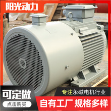 永磁低速发电机 100kW1500转风力水力发电用 高效节能同步电机