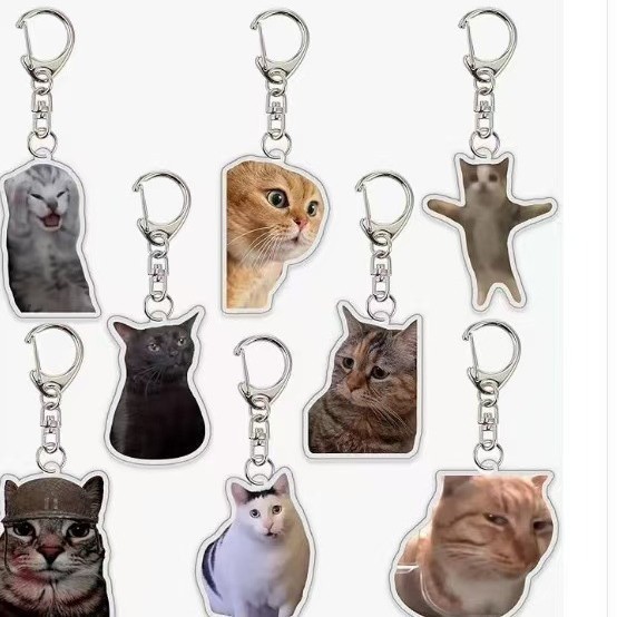 Colgar adornos Amazon popularidad en línea gatos gatos acrílicos llaveros escultura de arena interesante memes gatos gatos pequeños