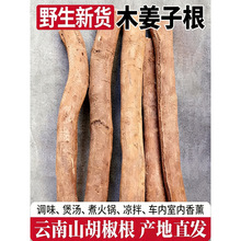 云南山胡椒根木姜子根千里香新鲜干货德宏特产香味浓香熏