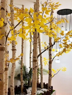 �ɘ�֦�ט�����٘�֦�bט�ľ���L���͘�ݘ��҃ȴ򿨵ؔ[��