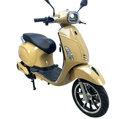 Auto Parts and Accessories – Motuoche Vehicle Electric Motorcycle