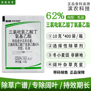 �I�r 62%�����������ᶡ��������С��ɭ�ֹ�ľ��~�s���rș���݄�