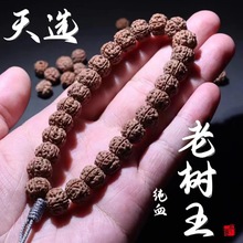 正品收藏级纯血老树王小金刚菩提子手串单圈原籽爆肉双龙2025新款