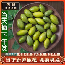 2025�ꮔ�����r�ϙ츣���خa���ϙ������Ҝ�̴���ϙ�ˮ�����]500g