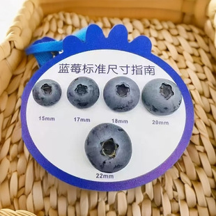 Factory Price Large Cherry Grade Caliper Cherry Size Card Grape Blueberry Cherry Standard Measuring Ruler Fruit Grading Ruler