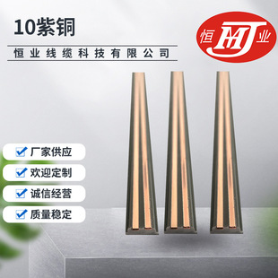 10 copper conductive rail copper bar multi-purpose led lamp PVC conductive magnetic co-extruded plastic copper bar