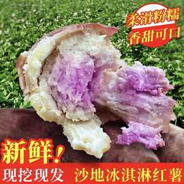 新鲜冰淇淋红薯一点红番薯爆皮王板栗香薯紫心薯正宗品冰激凌地瓜