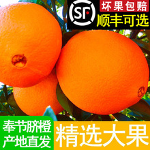 �ؑc�Ě�ȼ~�ɠ��������rˮ�����]�������10���������M20��