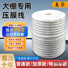 SֱN]zѿϻĤӺɫҴﾎ̫