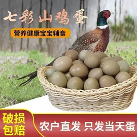 阿胶;养生丸;其他滋补