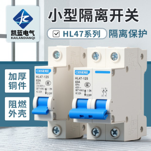 Electric Knife Switch Hl47-125 Small Isolation Switch 1P2P3P4P63A Leakage Protector Circuit Breaker