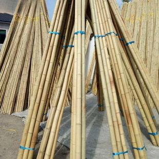 ��������b��S�ּ�����Ӷ��ǲˈ@�S�ϴ�ܲ˼�����U���