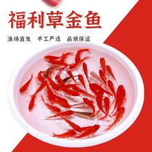 �ݽ��~�\��С���^�p�~��ˮ��ˮ��ˮ�~���~���l�ͻ���B���~��