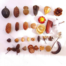 天然松果橡果千纹果幼儿园手工制作材料装饰干花圣诞节果子