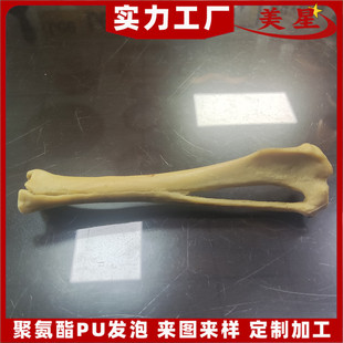 Veterinary animal bone model polyurethane foam simulation bone experimental teaching for class