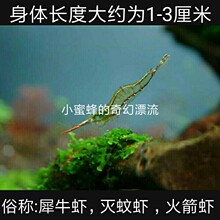 j8���]ˮ���r���߼t���r�䵭ˮ�^�p�r�����r�r���B���w�������g3