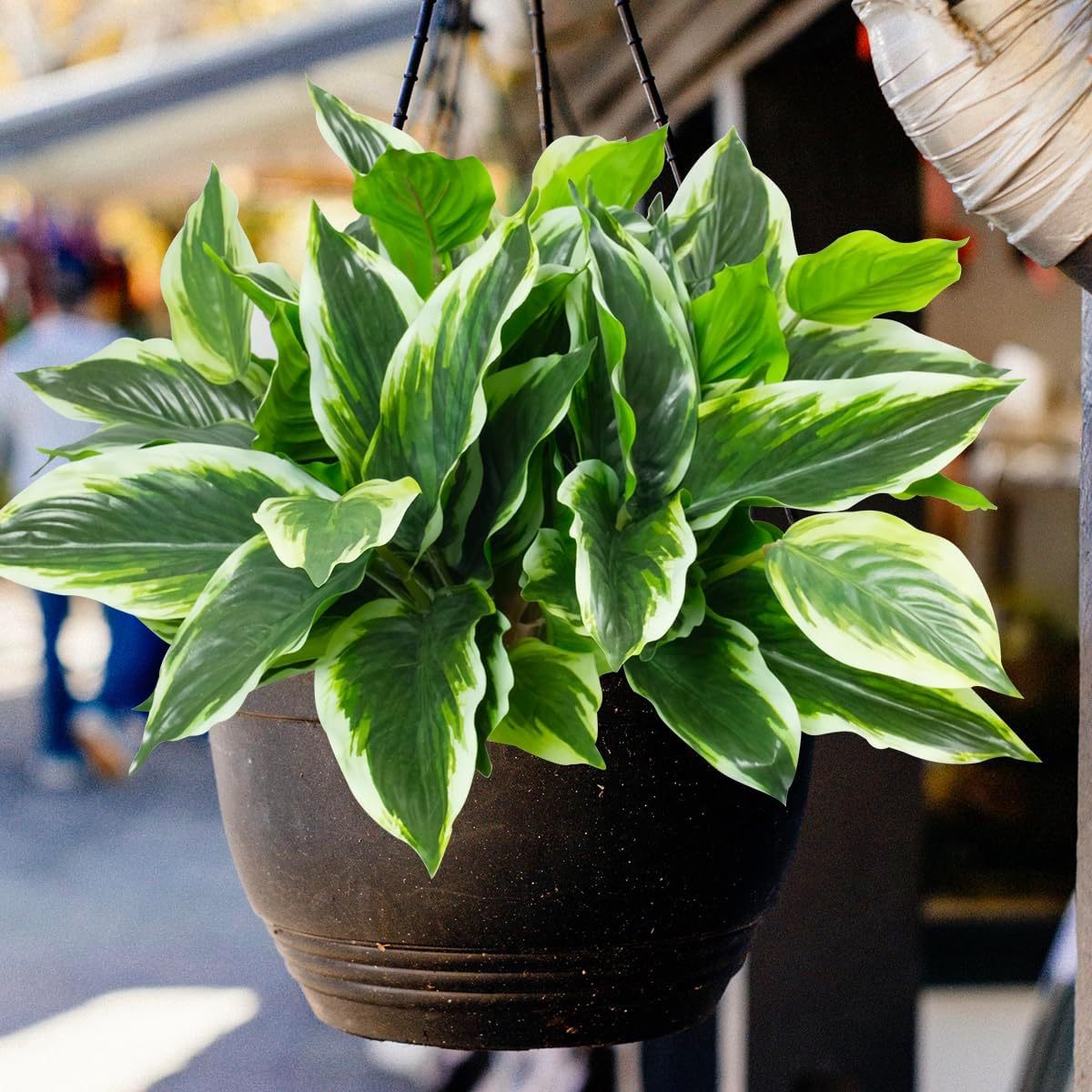 High-quality simulated plant 14-leaf flower spot Dieffenbachia small potted ornaments office decoration artificial green plants flowers 2