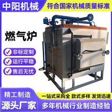 全自动工业燃气蒸汽发生器商用环保生物质锅炉蒸汽发生机热源机