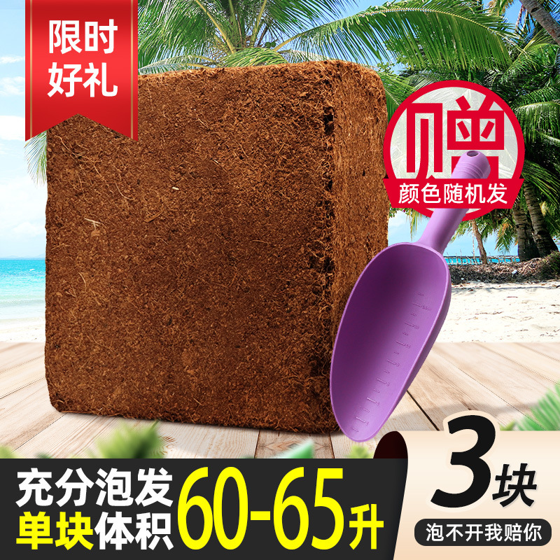 [기간 한정 선물] 4.5kg 탈염 특대형 코코넛 벽돌 3개 (수지 손삽 1개 포함)