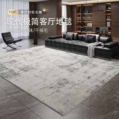 意式轻奢客厅地毯2025新简约耐脏易打理防水家用加厚卧室床边毯