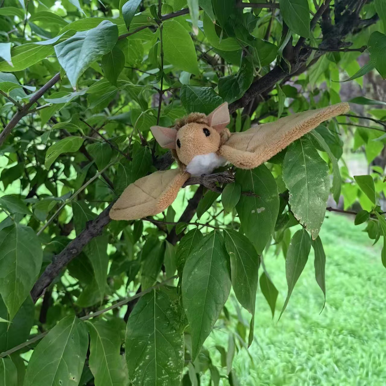 毛绒玩具动物蝙蝠批发商厂超市家里摆设动物园纪念品生日礼物公仔