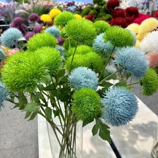 �¿�3�^ʯ����滨�ɹ���c·�������b��ָ�ܛ�zë�����Q�����