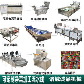青椒西红柿净菜加工流水线商用预制菜成套设备 土豆切丝清洗机器