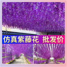 ?���l���ٻ��ٶ��껨����Y���T�bG�~�ٻ����ٻ�