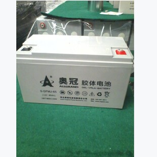 �W����늳� 6-GFMJ-65�y���ܷ�ʽ 12V65AH ֱ���� ��վUPS �Դ