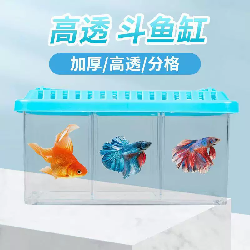 可拆卸隔板斗鱼缸高清多格斗鱼盒桌面造景小型鱼缸生态斗鱼组缸QL