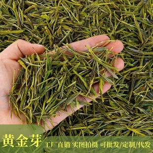 �ؼ��S��ѿ2025�²�S��ֱ�N�F؛���lɢ�b�ɶ���һ�����l��̲��~
