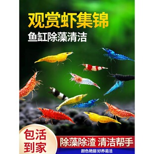 �^�p�r�����r��ˮ�r��ښ��r�坍�~�ͻ���B�Ꭷ�^�p�~����ˮ���r