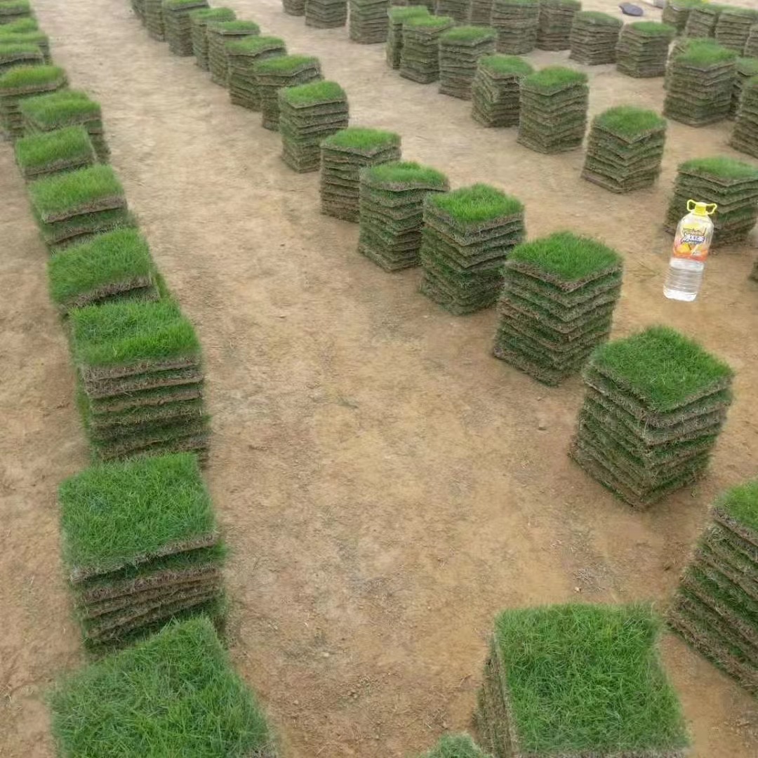 7b9df42be20f5f125c475a30731cc1