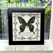 ������˱���� �Wʽ�b�DIY�͹����젝�Ҿ��b����նY��YƷ