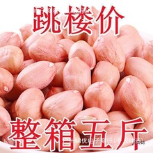 �r���ԷN�»�����5��󽵃r�F���»����׷�Ƥ���r����ե��10���b