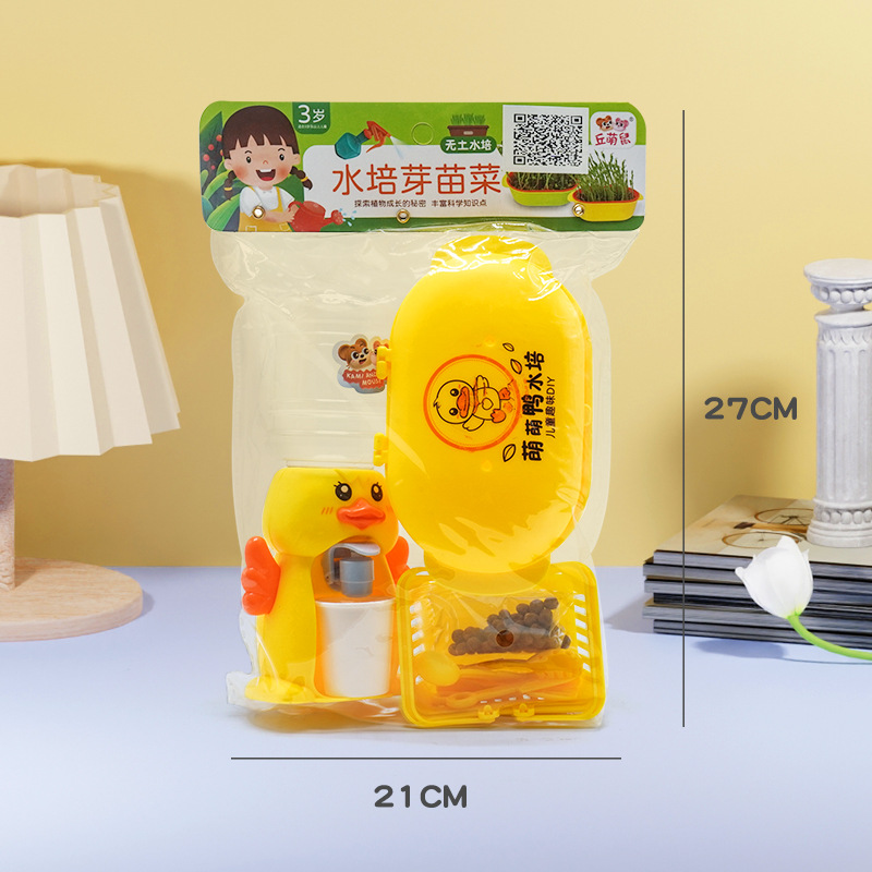 수경 콩나물